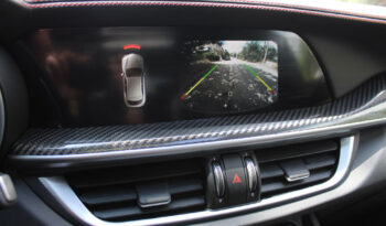 ALFA ROMEO STELVIO QUADRIFOGLIO Q4 V6 2.9 510HP PANORAMA SPARCO full