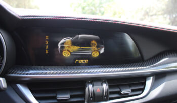 ALFA ROMEO STELVIO QUADRIFOGLIO Q4 V6 2.9 510HP PANORAMA SPARCO full