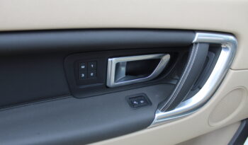 LAND ROVER DISCOVERY SPORT 2.0 DIESEL TD4 9 SPEED AWD PANORAMA full